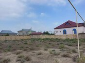 Объявление №5946207 - Ширван, Ширван, 6 сот