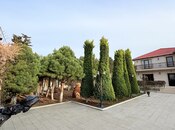 İcarəyə verilir 6 otaqlı həyət evi/bağ evi 360 m², Mərdəkan q., photo 2 from 8