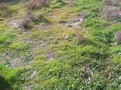 Satılır  torpaq 2.7 sot, Badamdar q., photo 8 from 8