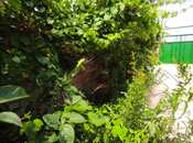 Satılır 3 otaqlı həyət evi/bağ evi 100 m², photo 8 from 8