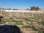 Satılır  torpaq 22 sot, Pirşağı q., photo 2 from 6