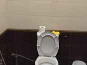 Satılır 6 otaqlı həyət evi/bağ evi 195.2 m², photo 3 from 8