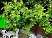 Satılır 3 otaqlı həyət evi/bağ evi 150 m², photo 5 from 8