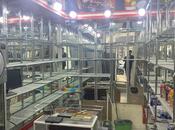 İcarəyə verilir  obyekt 30 m², 28 May m., photo 4 from 4