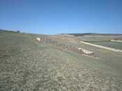 Satılır  torpaq 6 sot, Mehdiabad q., photo 2 from 3