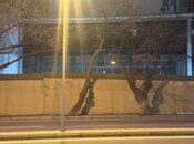 Elan №5948842 - Bakı, 28 May m., 200 m²