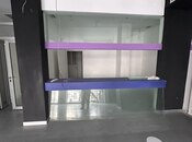 Сдаётся  объект 180 м², м. Низами, photo 5 from 8