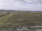 Объявление №5948952 - Худат, Худат, 277 сот