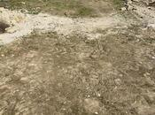 Продаётся  участок 6 сот, пос. Мардакан, photo 3 from 4