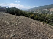 Satılır  torpaq 24 sot, photo 3 from 3