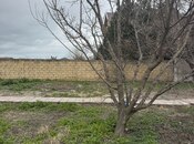 Продаётся  участок 3 сот, пос. Новханы, photo 5 from 6