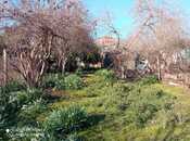 Elan №5950544 - Bakı, Azadlıq Prospekti m., 3.3 sot