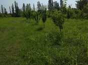 Satılır  torpaq 241 sot, Xaçmaz r., photo 2 from 7