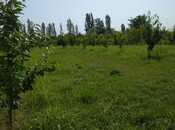 Elan №5950585 - Xaçmaz, Xaçmaz, 241 sot