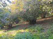 Продаётся  участок 150 сот, photo 2 from 4