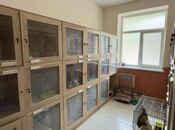 Продаётся  объект 100 м², м. Элмляр Академиясы, photo 7 from 8