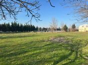 Elan №5950769 - Bakı, Avtovağzal m., 100 sot