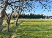 Satılır  torpaq 100 sot, Avtovağzal m., photo 4 from 6