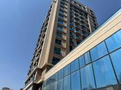 Объявление №5950811 - Баку, м. Низами, 1450 м²