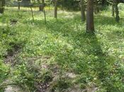 Продаётся  участок 12 сот, Набрань р., photo 4 from 5