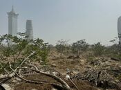 Satılır  torpaq 290 sot, Koroğlu m., photo 5 from 5