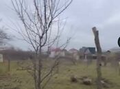 Продаётся  участок 10 сот, photo 2 from 8