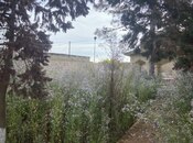 Объявление №5952530 - Баку, пос. Мардакан, 10 сот