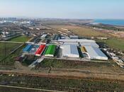 Объявление №5952508 - Баку, пос. Атъялы, 3000 м²