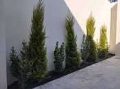 Продаётся 3-комн. дом/дача 85 м², пос. Шаган, photo 3 from 8