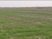 Объявление №5952799 - Гаджигабул, Гаджигабул, 3100 сот