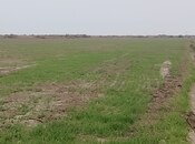 Продаётся  участок 3 100 сот, photo 2 from 3