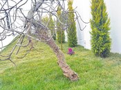 Продаётся 7-комн. дом/дача 450 м², пос. Бильгях, photo 8 from 8