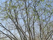 Satılır  torpaq 219 sot, photo 6 from 8