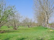 Satılır  torpaq 219 sot, photo 7 from 8