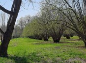 Satılır  torpaq 219 sot, photo 2 from 8