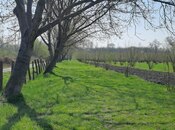 Elan №5953247 - Zaqatala, Zaqatala, 219 sot