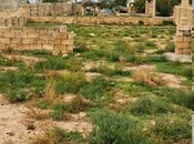 Elan №5953338 - Bakı, Fatmayı q., 8 sot