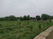 Elan №5953783 - Tərtər, Tərtər, 40 sot