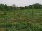 Satılır  torpaq 40 sot, photo 3 from 8