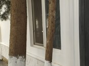 Объявление №5954411 - Баку, Наримановский  р., 17 м²