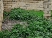 Satılır 3 otaqlı həyət evi/bağ evi 120 m², photo 8 from 8