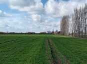 Объявление №5955428 - Барда, Барда, 233 сот