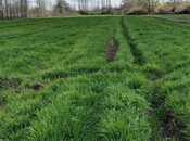 Продаётся  участок 233 сот, photo 4 from 4