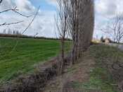 Продаётся  участок 233 сот, photo 2 from 4