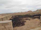 Elan №5956116 - Bakı, Qobu q., 5 sot