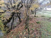 Satılır  torpaq 14 sot, photo 8 from 8