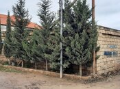 Продаётся  участок 2.3 сот, пос. Бузовна, photo 5 from 5