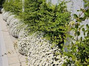 İcarəyə verilir 4 otaqlı həyət evi/bağ evi 300 m², Nardaran q., photo 8 from 8