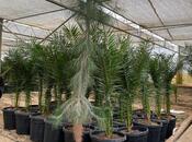 Satılır  obyekt 1 500 m², Türkan q., photo 3 from 8