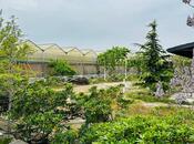 Elan №5959328 - Bakı, Türkan q., 1500 m²